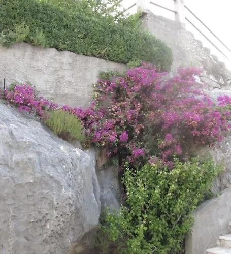 דירה Comfortable And Beautiful פלוצ'ה