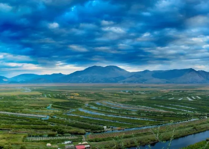 Comfortable And Beautiful דירה פלוצ'ה